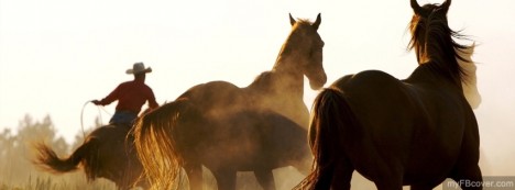 Horses Facebook Cover