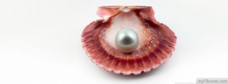 Pearl in Shell Facebook Cover